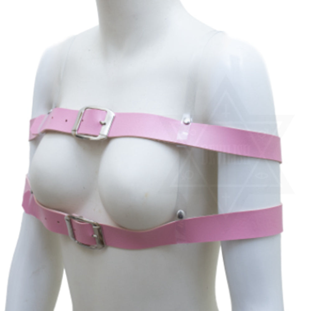 Restricted Love harness