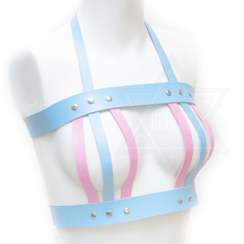 You own my heart harness