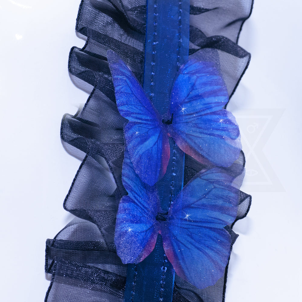 Follow your heart harness