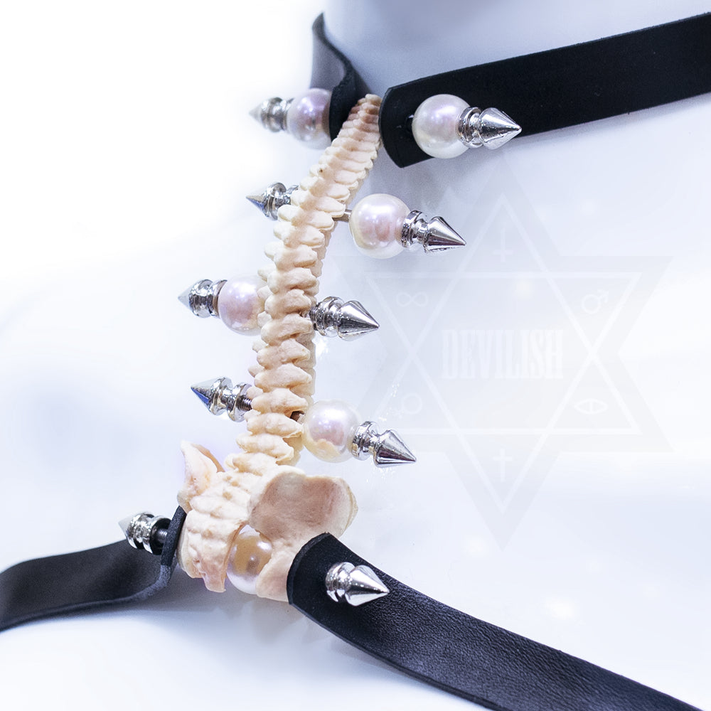 Bone collection harness