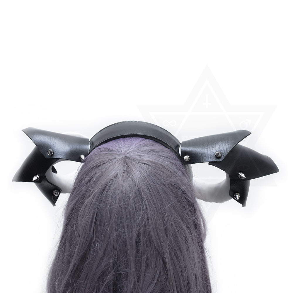 Dragon knight hariband