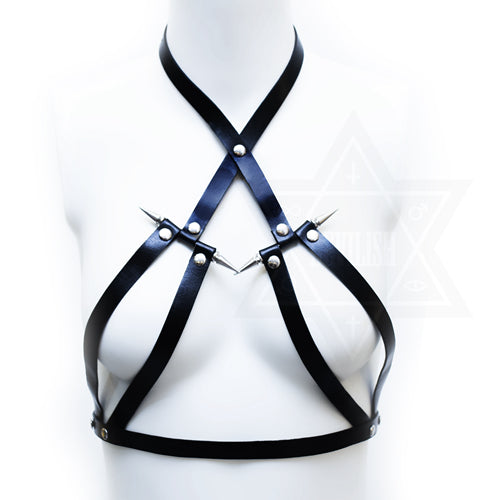 Stay dangerous harness