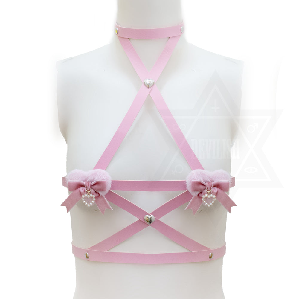 Destiny harness