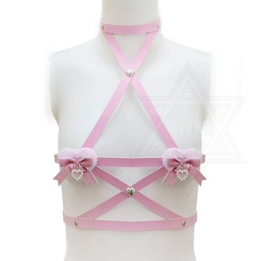 Destiny harness