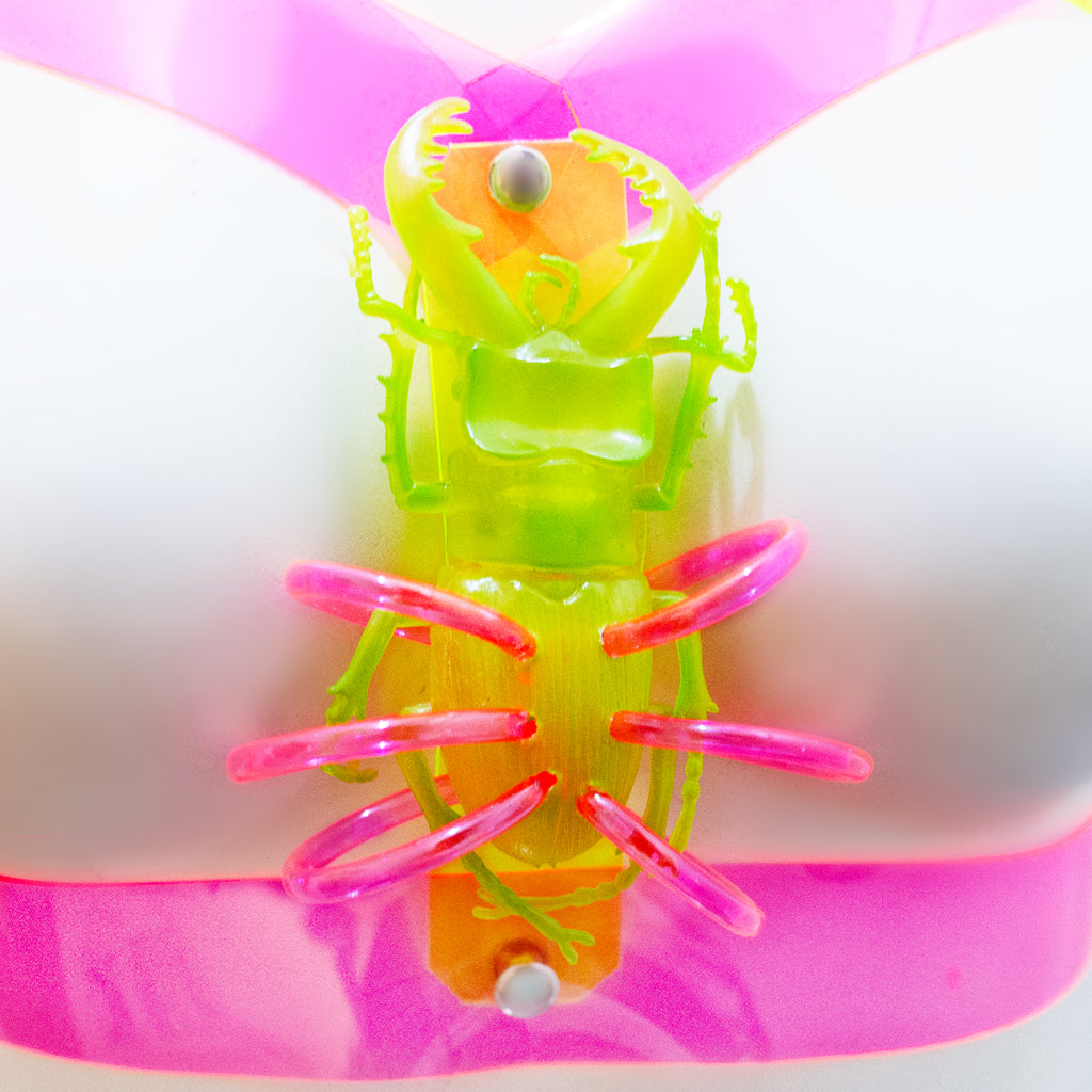 Evolution harness