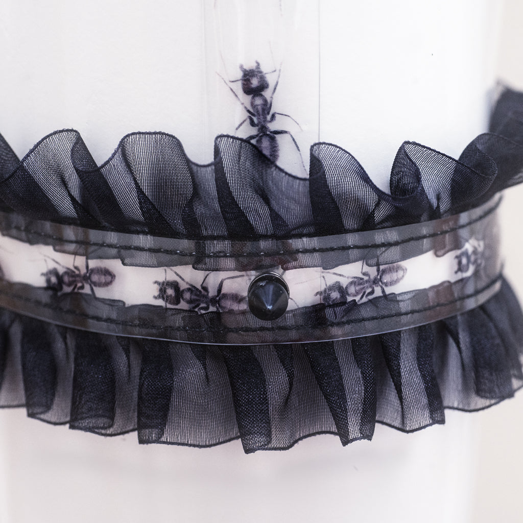 Itchy itchy garter