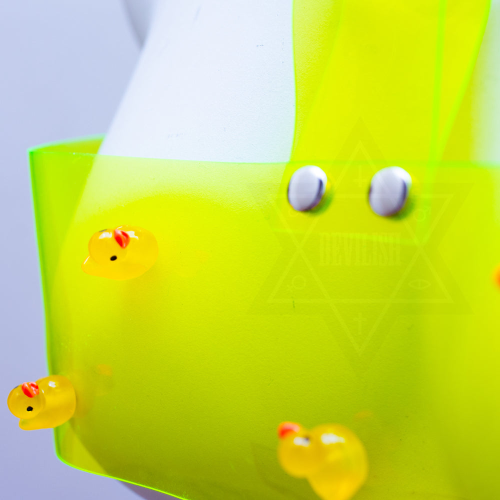 Baby ducklings harness*