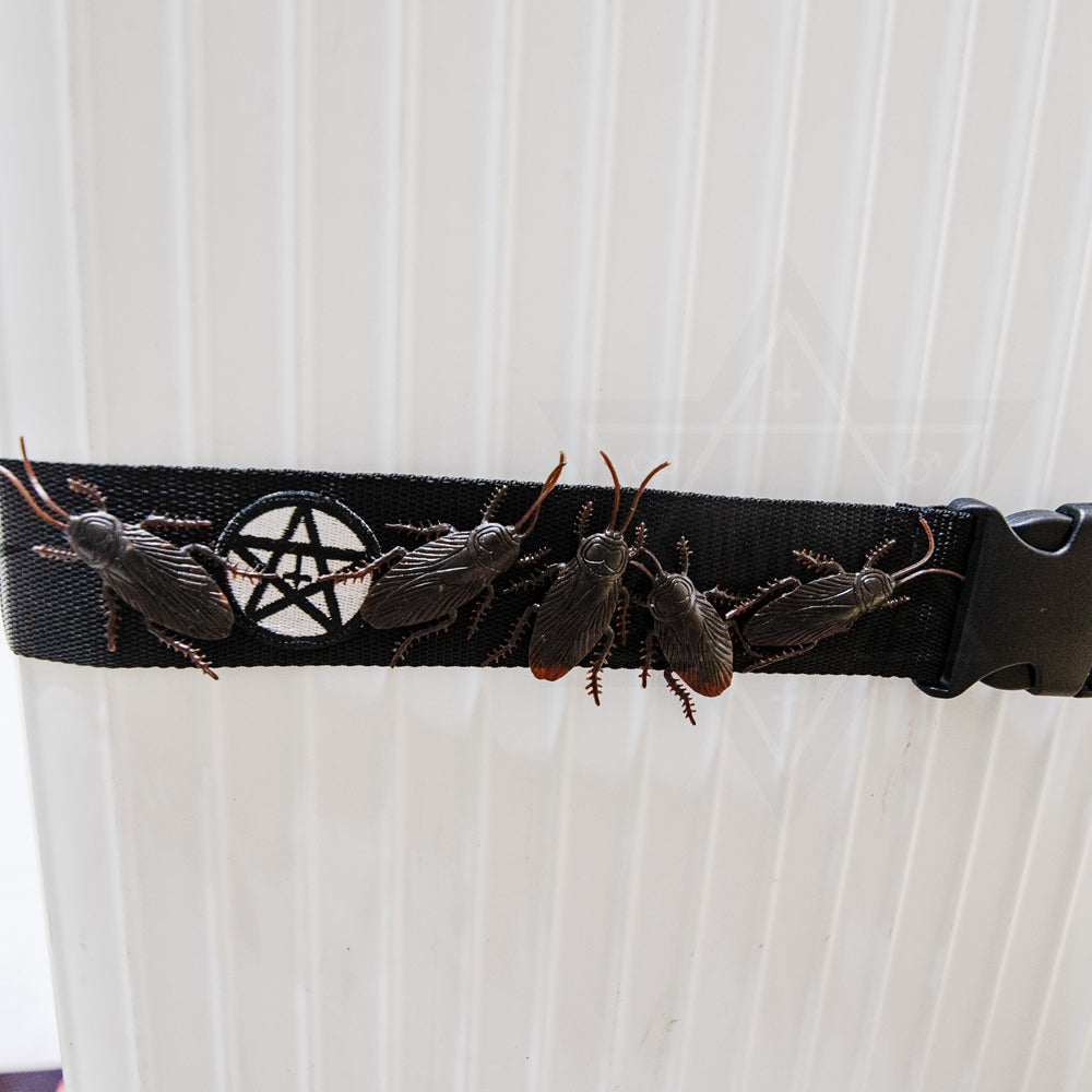 Creeper luggage strap